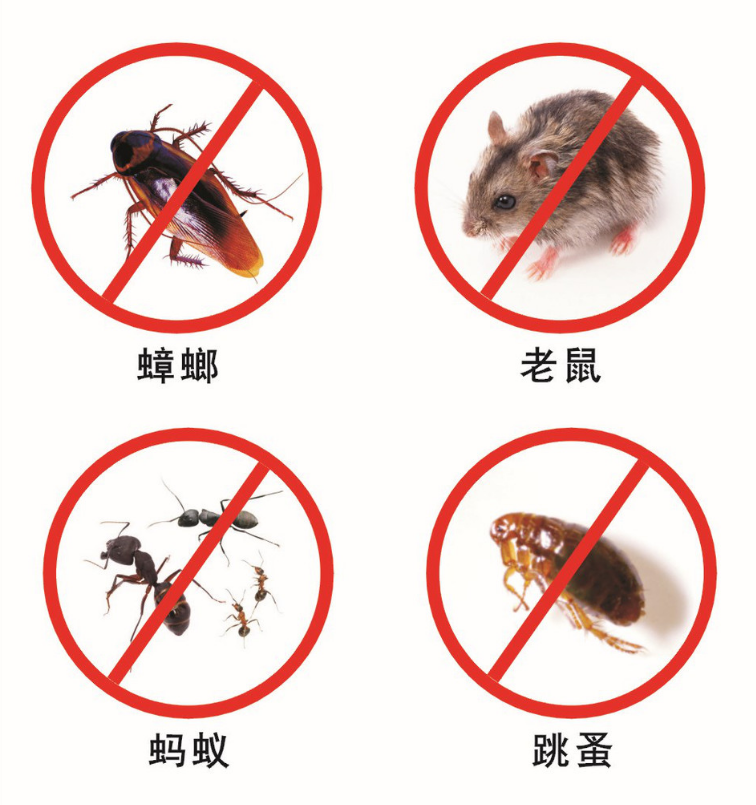 宿遷專業(yè)殺蟲除四害.png