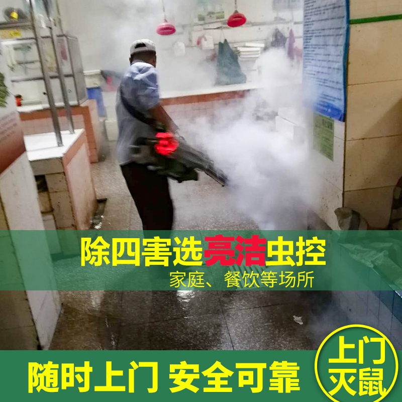 殺蟲服務(wù)公司 如何有效滅老鼠？