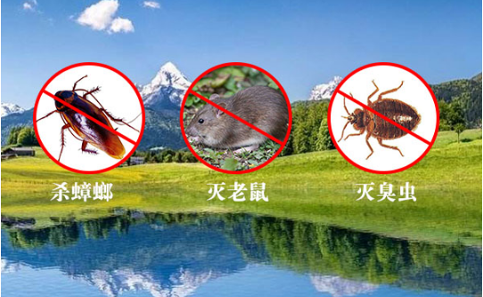 消殺公司.png