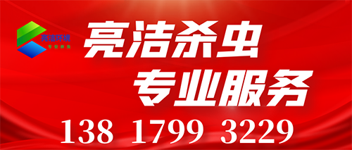 宿遷消殺服務(wù).png