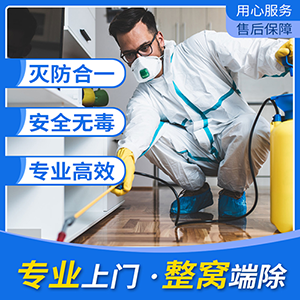 宿遷殺蟲公司滅蟑螂有哪些方法？