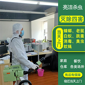 宿遷市亮潔環(huán)境服務(wù)有限公司為大型商場超市農(nóng)貿(mào)菜市場提出的殺蟲滅鼠解決方案