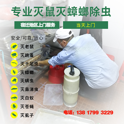 宿遷除甲醛公司服務(wù)一次多少錢.png