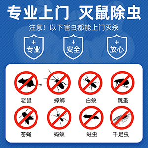 春節(jié)過后警惕宿遷市區(qū)老鼠蟑螂等害蟲反彈