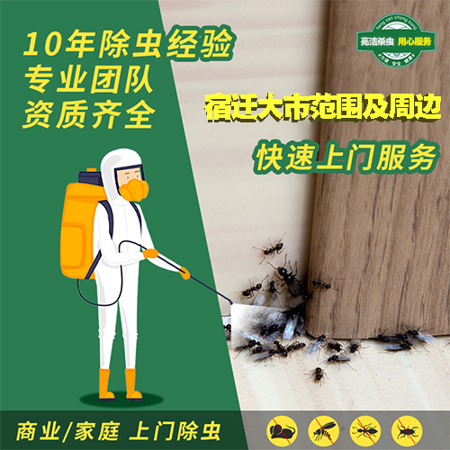 宿遷消毒服務(wù)：新冠陽性病例及無癥狀感染者活動場所進行消毒的要點